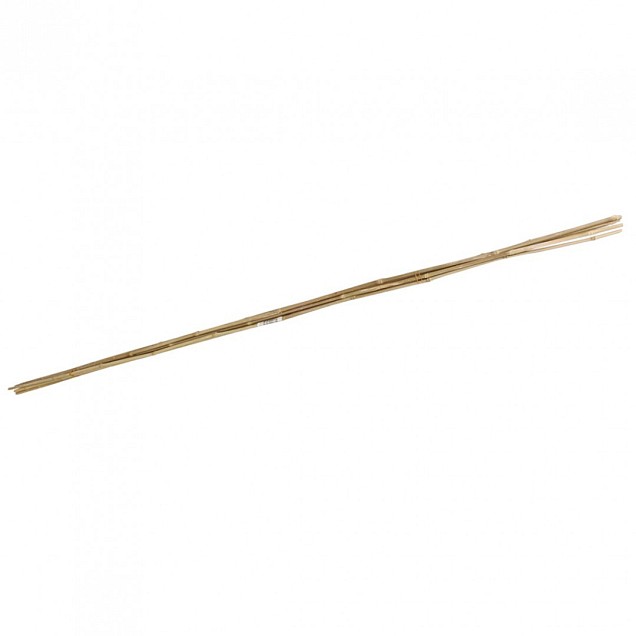 Bamboestok 210cm (3 st)