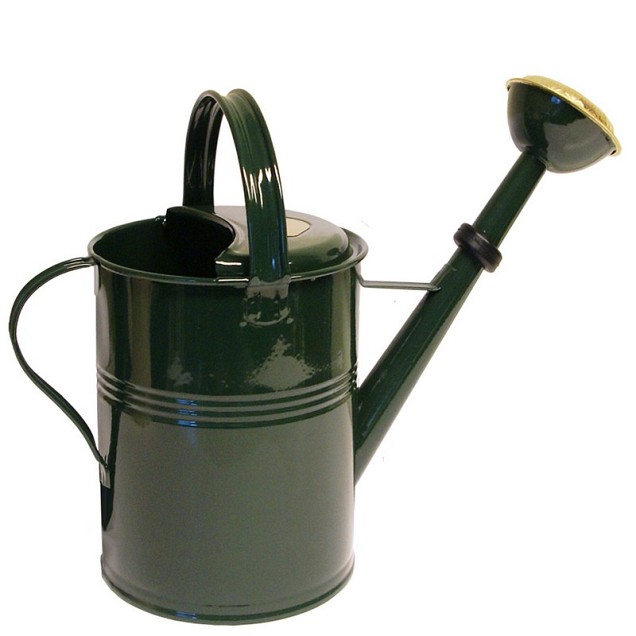 Gieter New 9 ltr - zink/groen