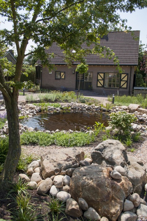 Zwerfkei Maaskei bont 50-80 cm